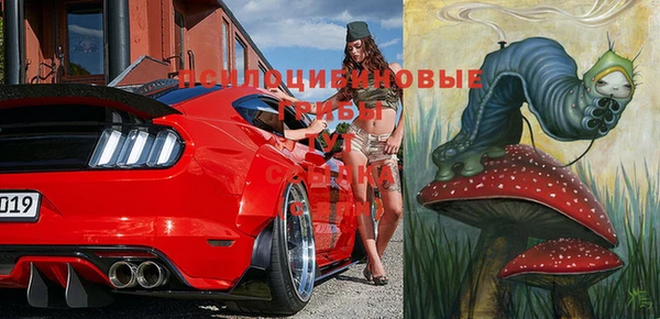 гидропоника Абдулино