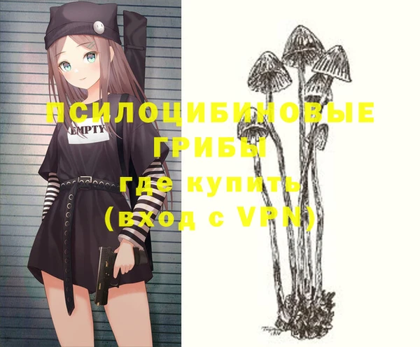 ПСИЛОЦИБИНОВЫЕ ГРИБЫ Алексин