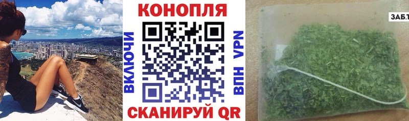 купить наркотик  Руза  Шишки марихуана ГИДРОПОН 