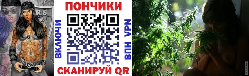 Бошки марихуана LSD WEED Руза